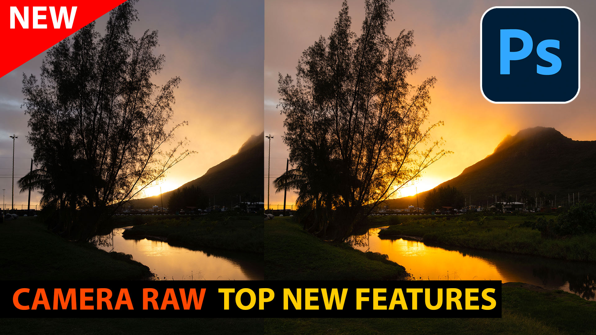 Canmera Raw 16 Tip New Features.jpg