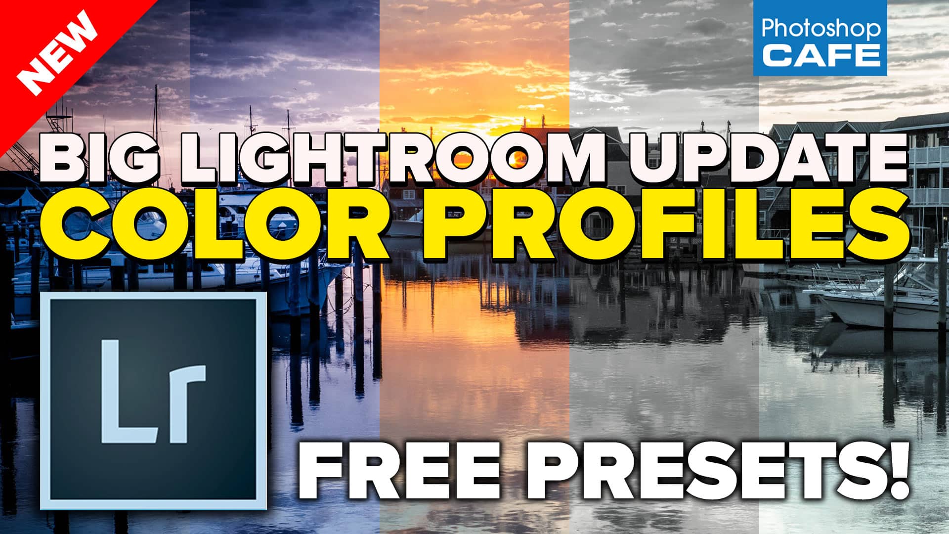 Lightroom Profiles.jpg