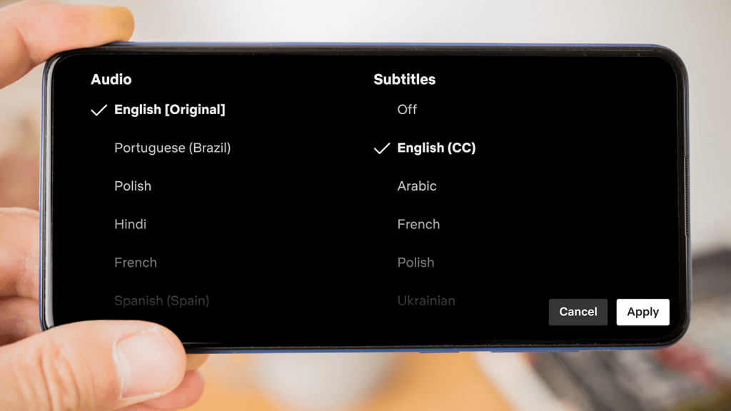 How To Turn On Subtitles For Netflix.png