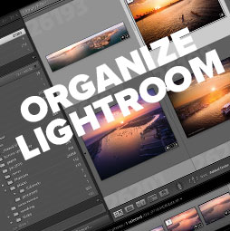 Organize Lightroom.jpg