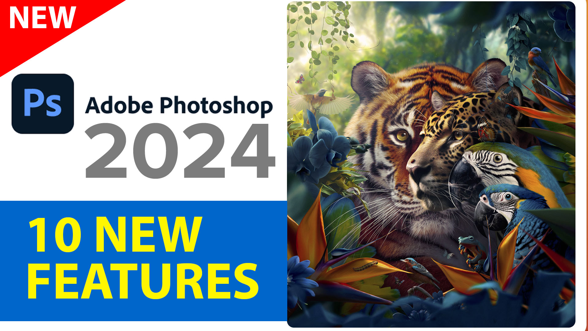 Photoshop 2024.jpg