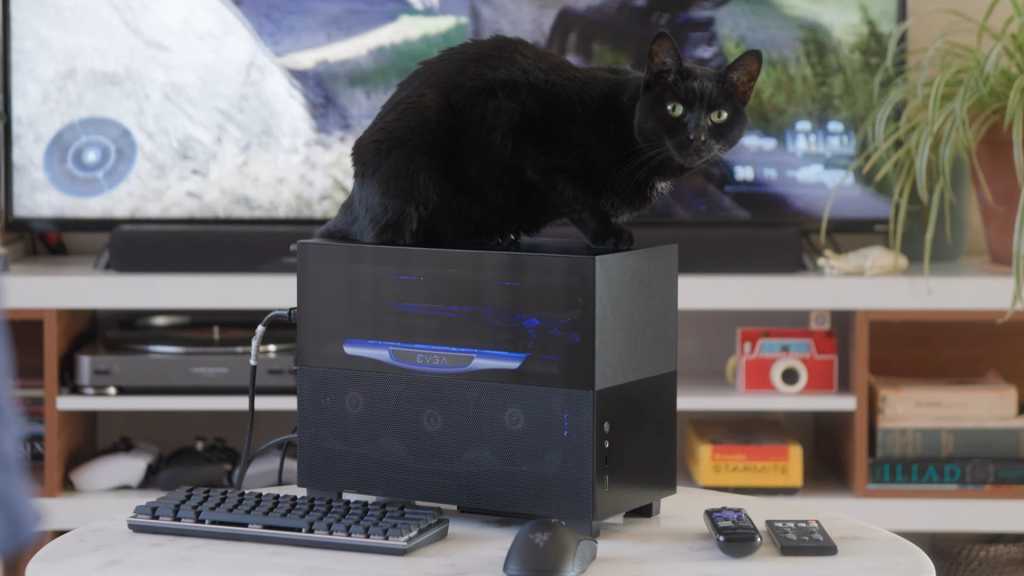 Sff Pc Header With Cat.jpg