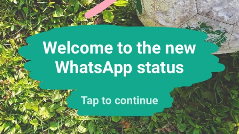 How To Use Whatsapp Status.jpg