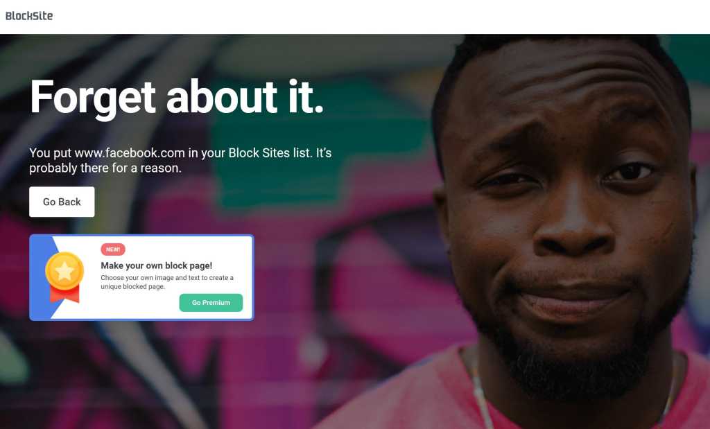 Blocksite block page 100900503 orig.jpg