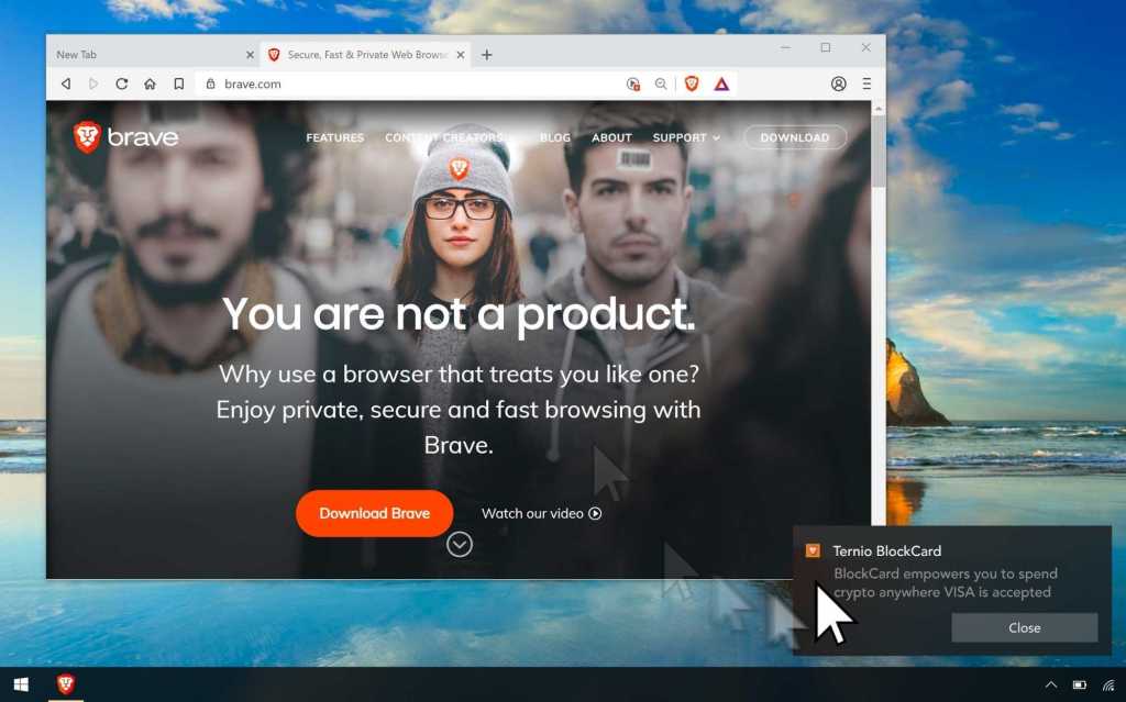 Brave new 2 100794922 orig.jpg