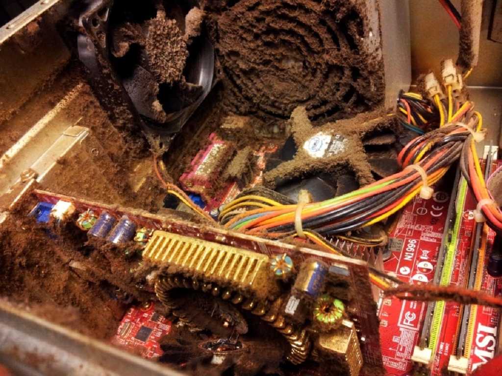 Dirty pc large 100836649 orig.jpg