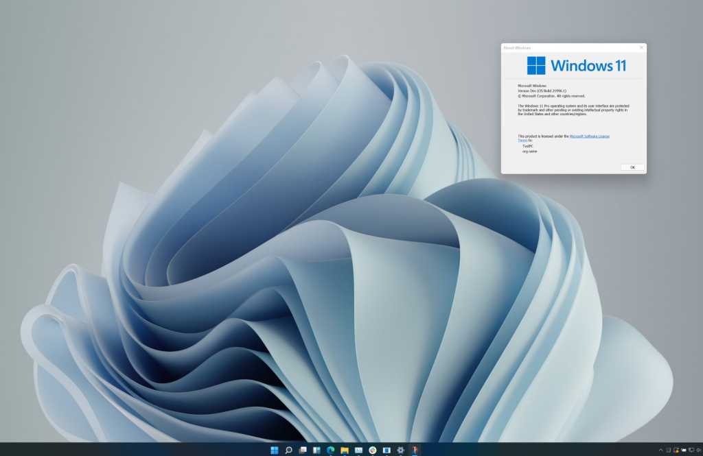 Microsoft windows 11 flower background large 100892451 orig 1.jpg