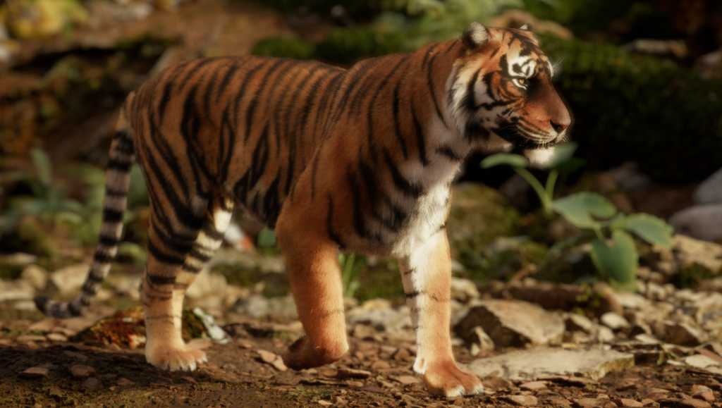 Nvidia tiger path tracing.jpg