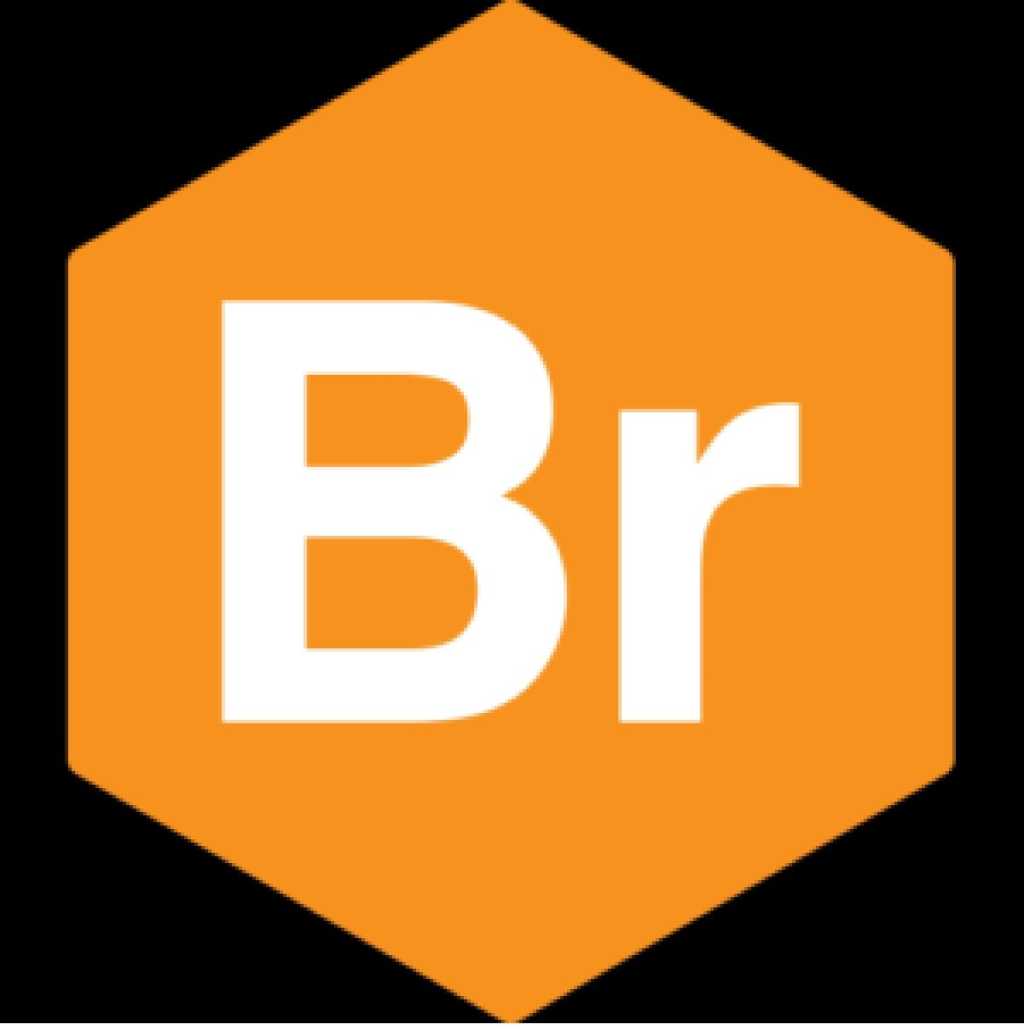 Bromium logo 100811537 orig.jpg