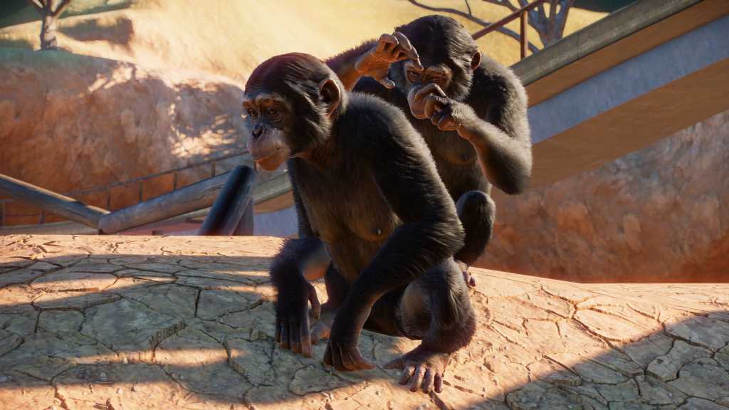 Pz western chimpanzee 2 4k 100799660 orig.jpg