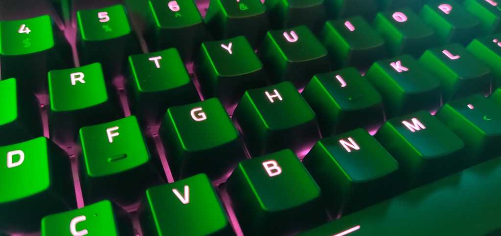 Razer blackwidow elite 2 100792521 orig.jpg