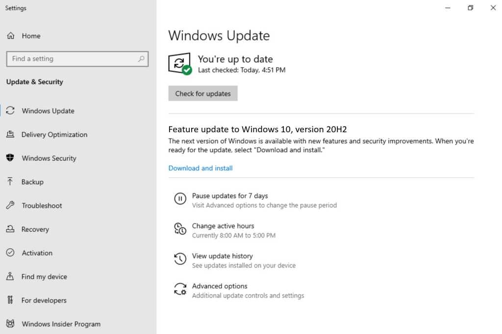 Windows 10 20h2 build 100848957 orig.jpg