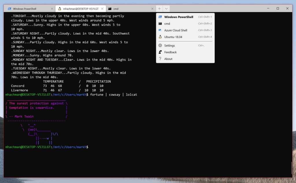 Windows 10 wsl2 terminal various tabs 100833048 orig.jpg