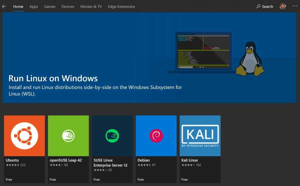 Windows linux 100796105 orig.jpg